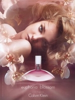 Calvin Klein Euphoria Blossom fragrance