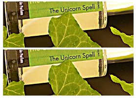 The Unicorn Spell by LesNEZ