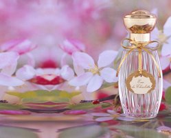 Annick Goutal Eau de Charlotte perfume