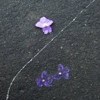 Crushed Violets by Oksidor on Flickr