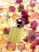 Les Parfums de Rosine Roseberry