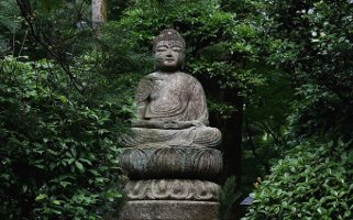 forest buddha