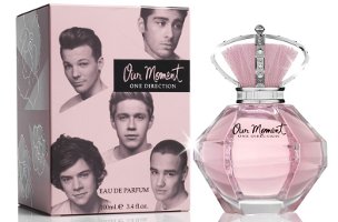 One Direction Our Moment 