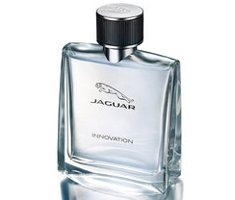 Jaguar Innovation