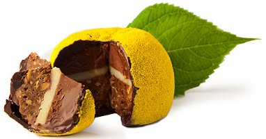Hudson Chocolates Yuzu Fruit