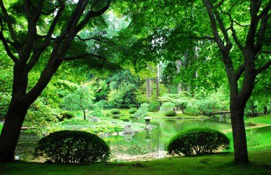 Nitobe Memorial Garden 