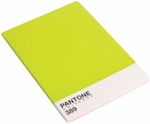 Pantone notebook 389