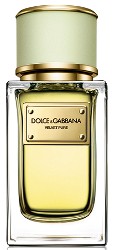 Dolce & Gabbana Velvet Pure
