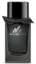 Mr. Burberry Eau de Parfum 