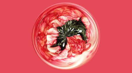 carnation swirl