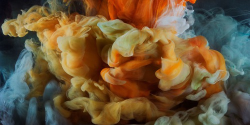 A Sensory Journey Through Contemporary Scent, image from Somerset House