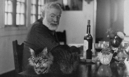Ernest Hemingway with cat, in Cuba