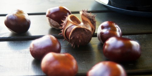 chesnuts