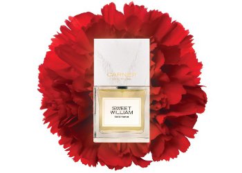 Carner Barcelona Sweet William ~ fragrance review