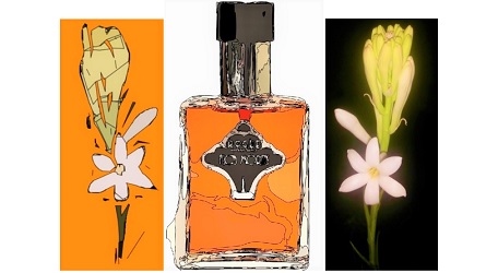 Rogue Perfumery Flos Mortis ~ fragrance review