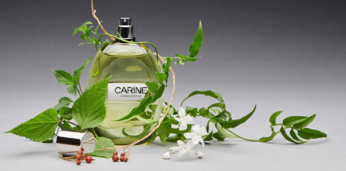 Carine by Carine Roitfeld ~ new fragrance