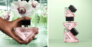 Prada Paradoxe Virtual Flower ~ New Perfume :: Now Smell This